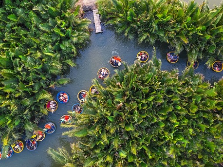 rung-dua-bay-mau-cam-thanh-hoi-an